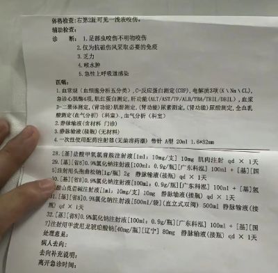 甲医院面对常见蛇伤却毫无办法三亚被蛇咬死的美女真冤堂堂三(图4)