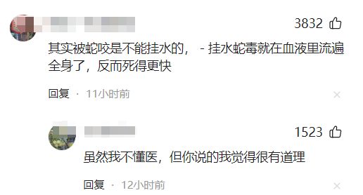 甲医院面对常见蛇伤却毫无办法三亚被蛇咬死的美女真冤堂堂三(图2)