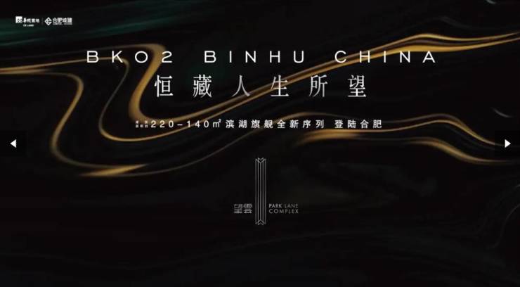 望雲项目户型图-学区【2026合肥买房】(图5)